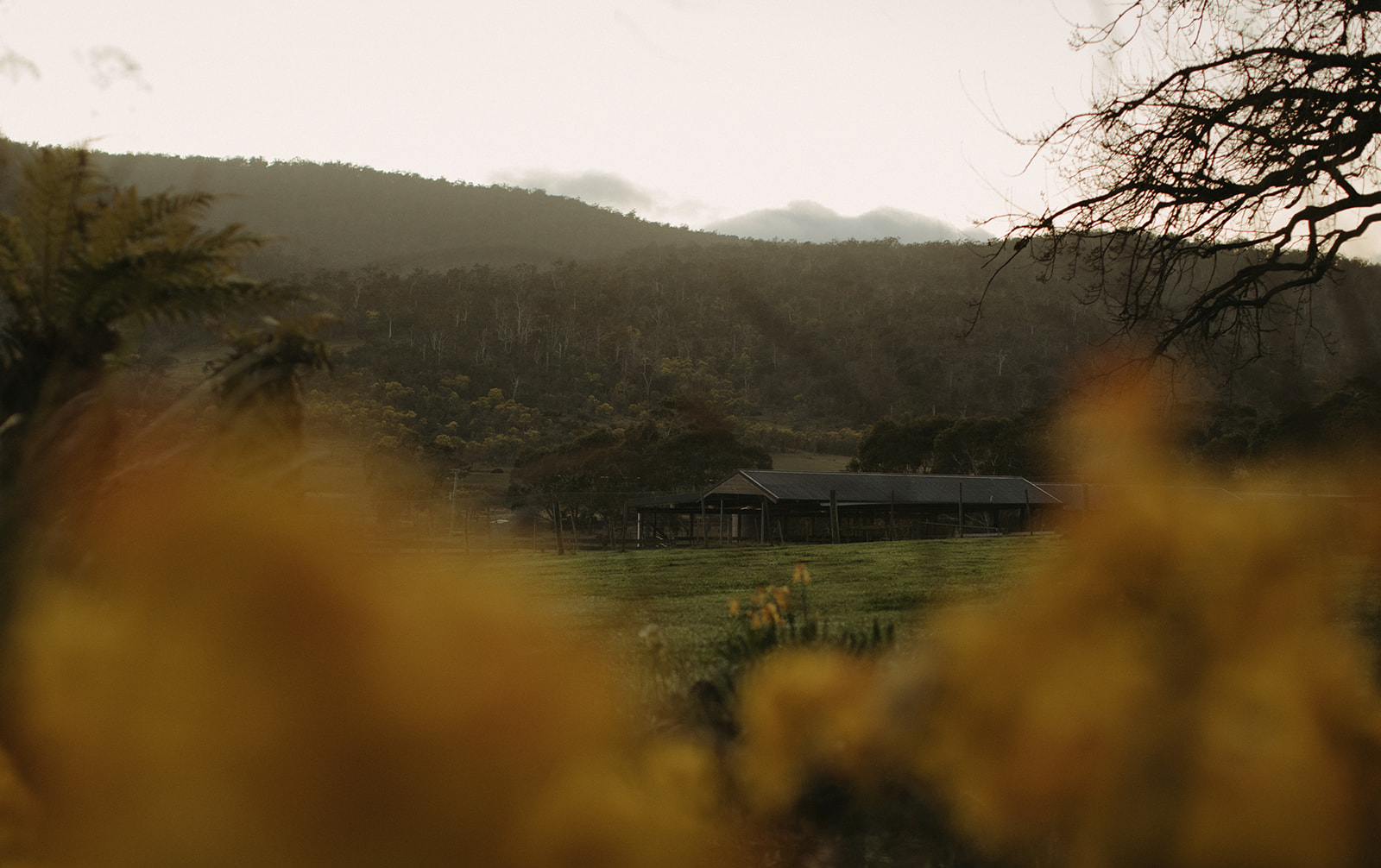 Glover House venue detail 8